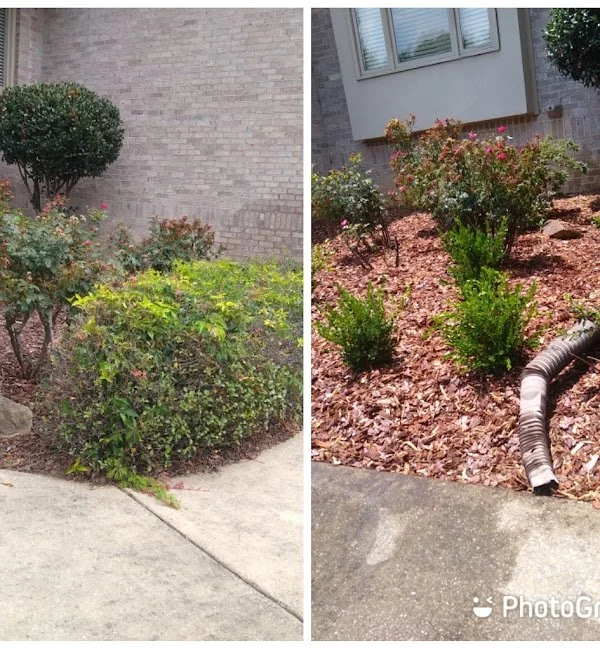 estradas-seasonal-maintenance-2024-12-18T222849.310 (1).jpg