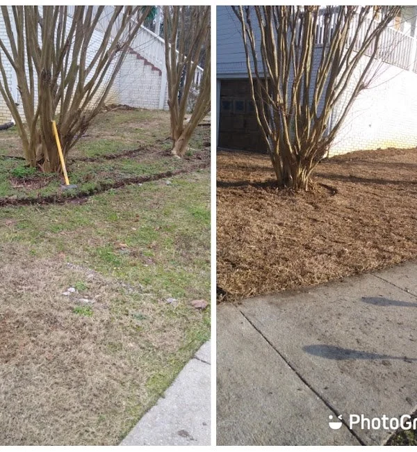 estradas-seasonal-maintenance-2024-12-18T222844.612 (1).jpg