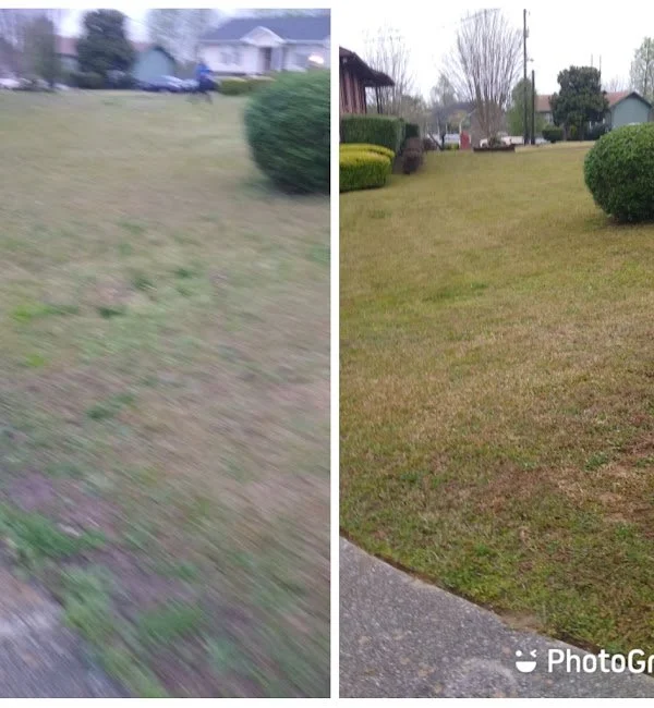 estradas-seasonal-maintenance-2024-12-18T222843.145 (1).jpg