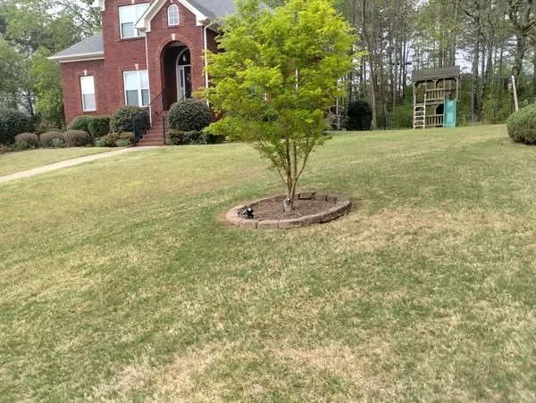 489919076_1037547895093641_2854425220141862727_n (1).jpg