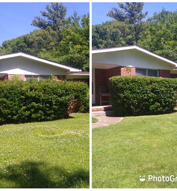 estradas-seasonal-maintenance-2024-12-18T222836.759 (1).jpg