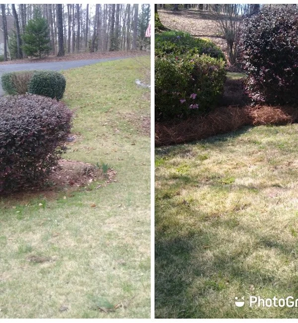 estradas-seasonal-maintenance-2024-12-18T222844.182 (1).jpg