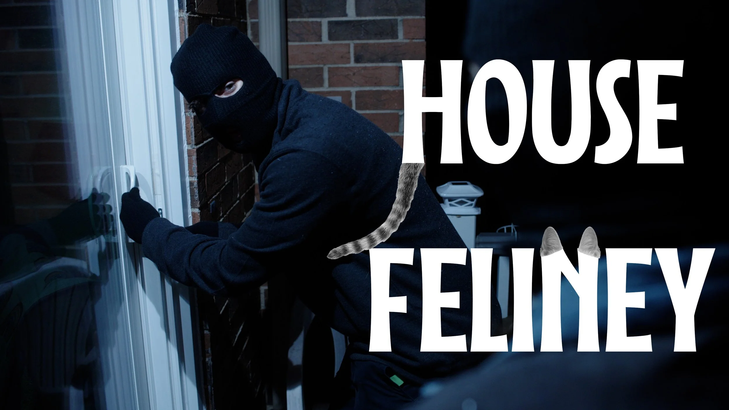 House Feliney | Short Film