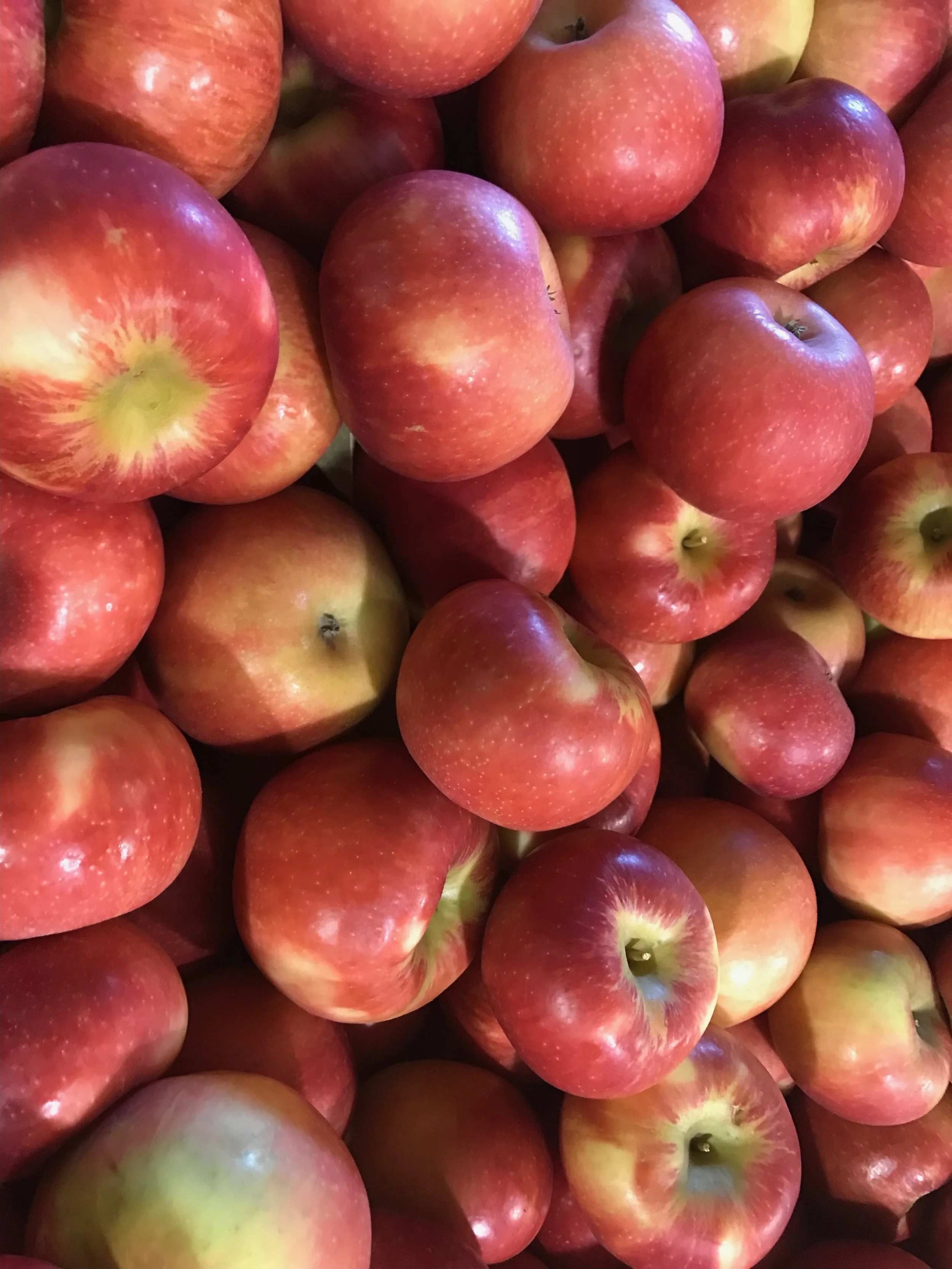 Half Bushel Honeycrisp, 20lb