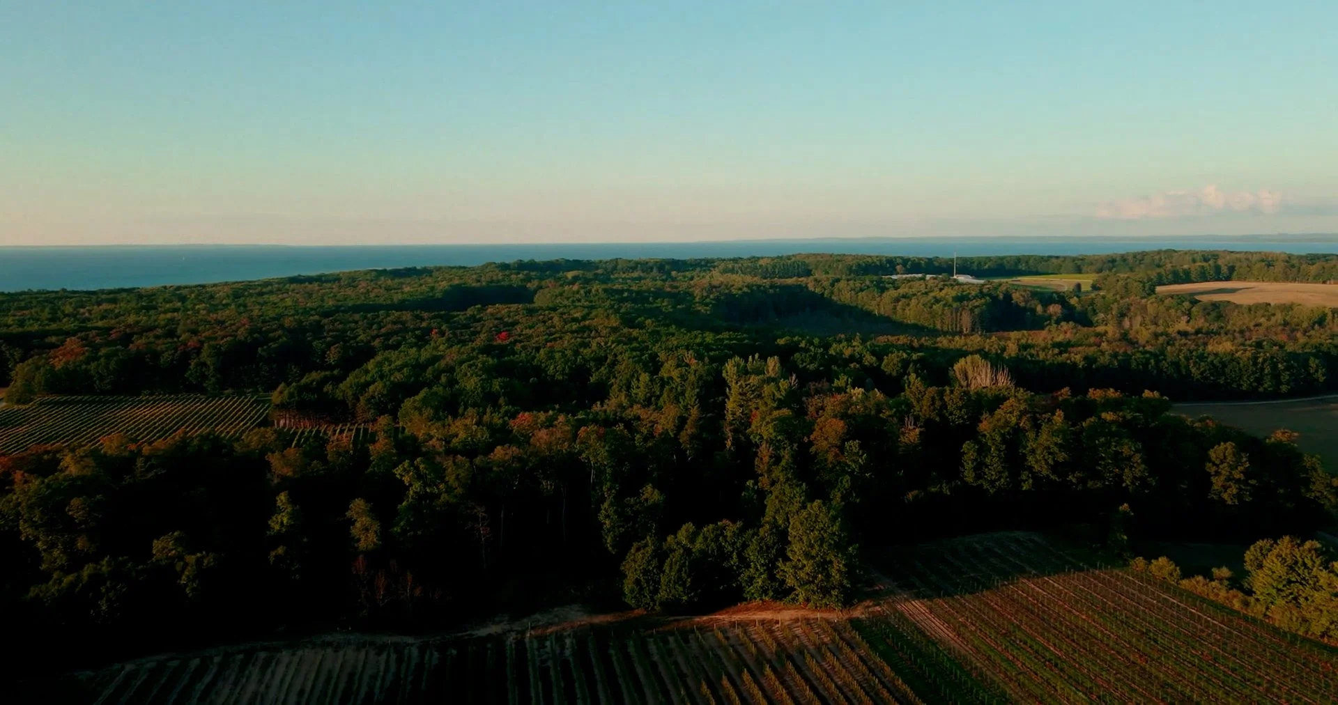 Third Coast Fruit - This Land.00_02_50_01.Still001.jpg