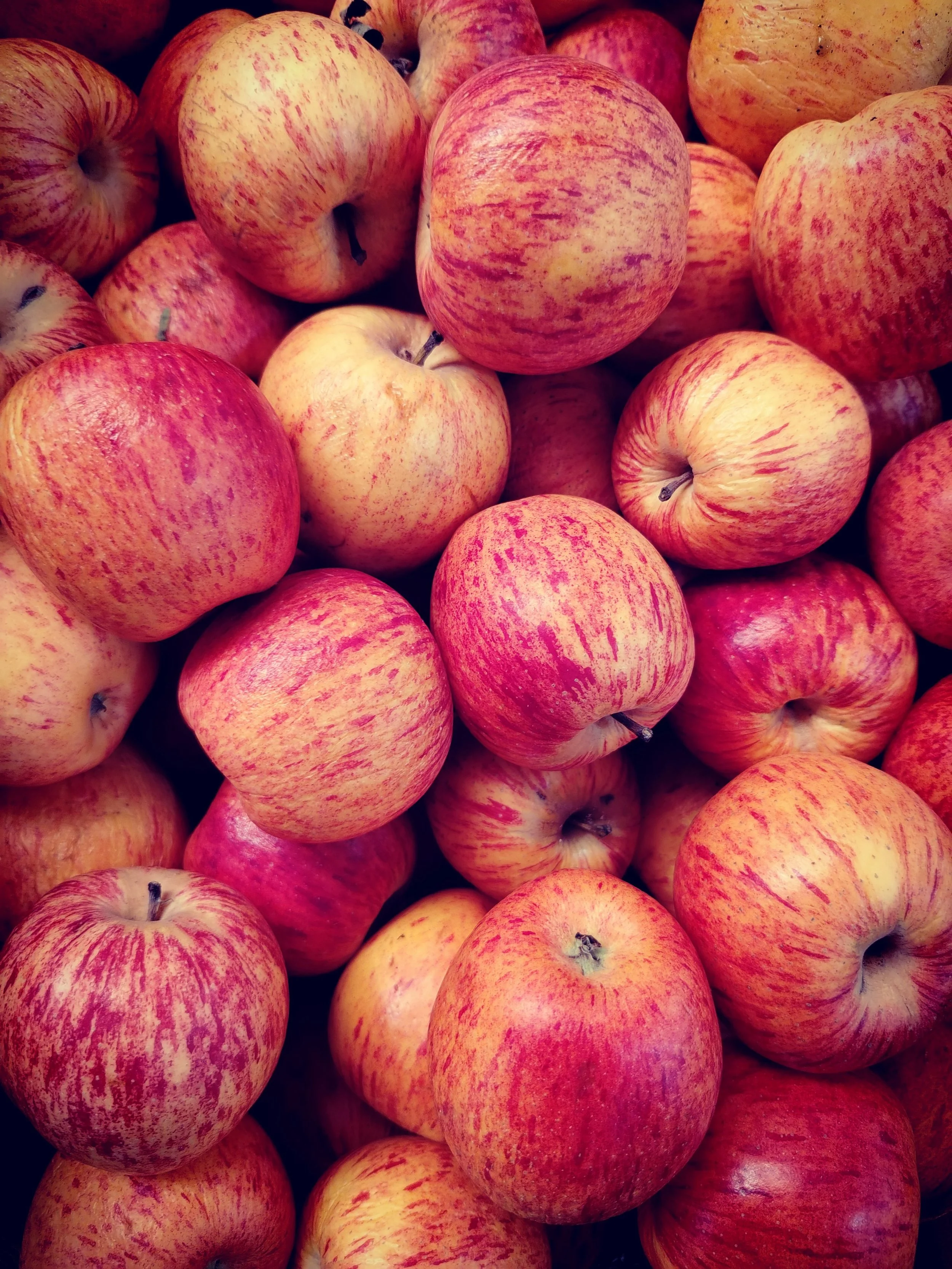 Peck (10lb) Honeycrisp