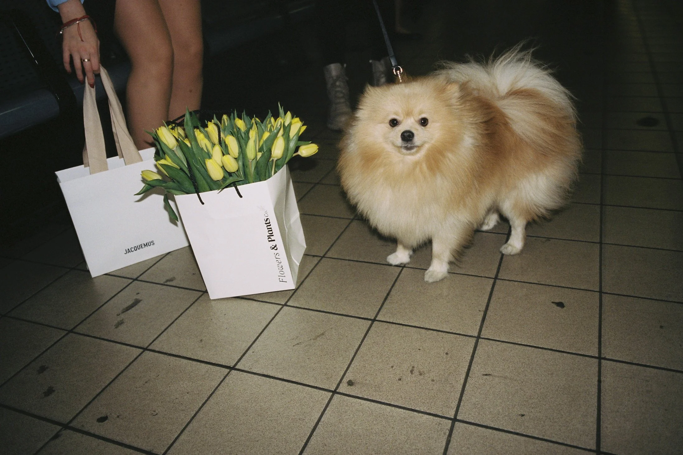 João Barreiros-167.jpg