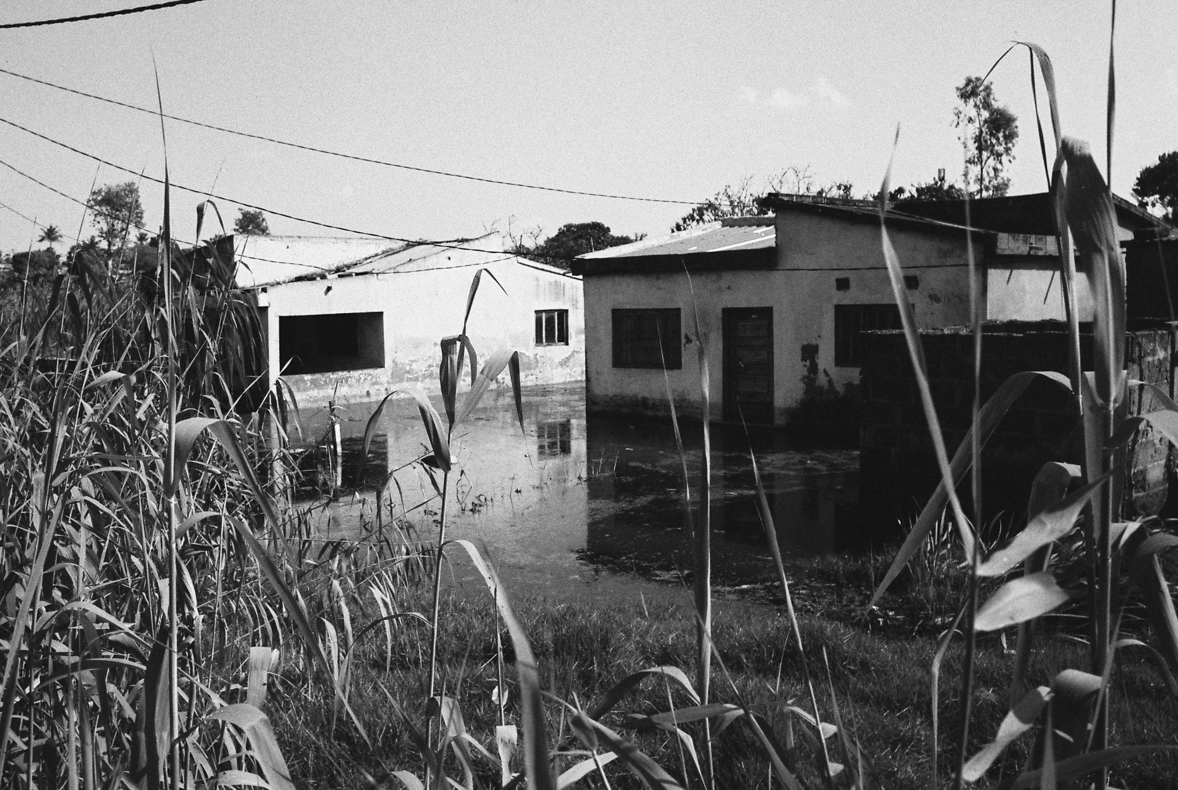 João Barreiros-226.jpg