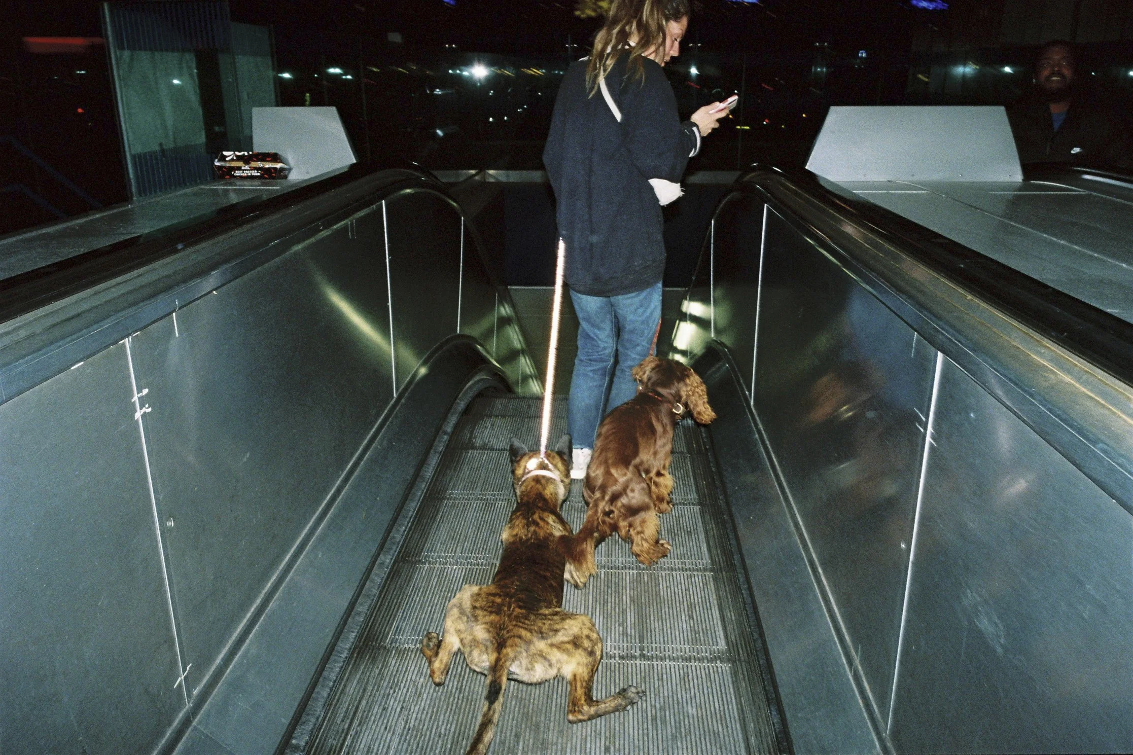 Joao Barreiros-255.jpg