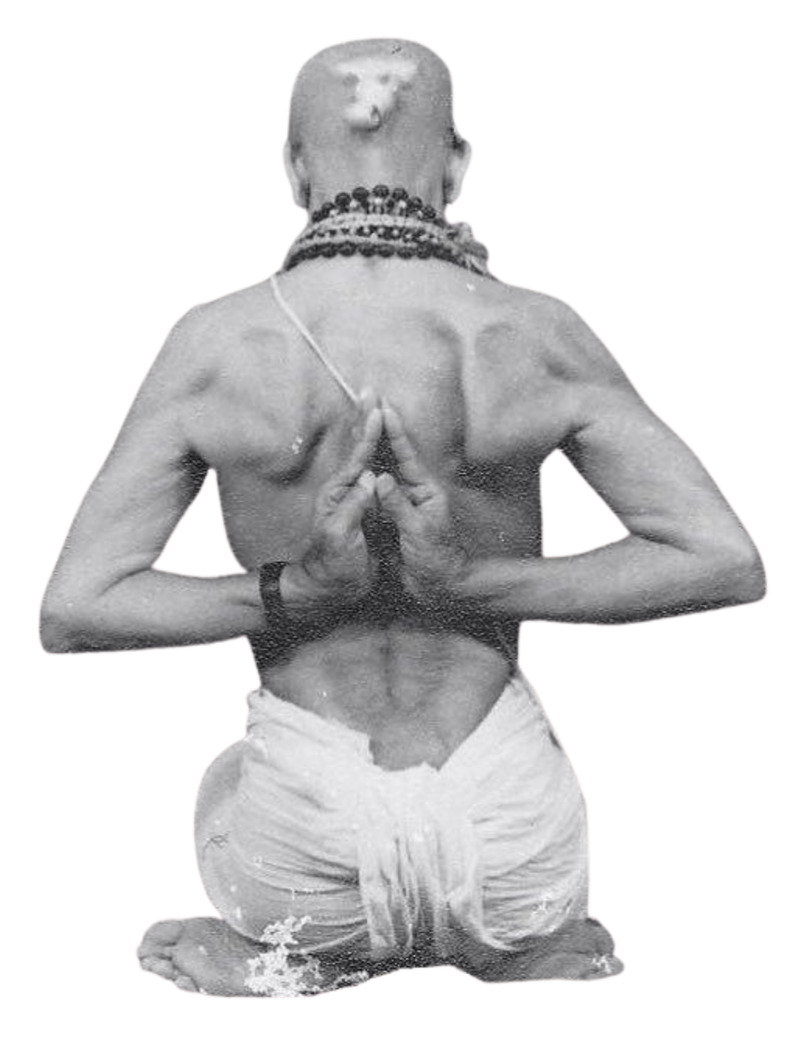Yoga Teacher Excellence Meets Practitioner Intelligence. → Through our playbooks, education, and strategic workshops YogaUX maps the space between yoga instruction, customer service and the modern class experience — we teach yoga teachers