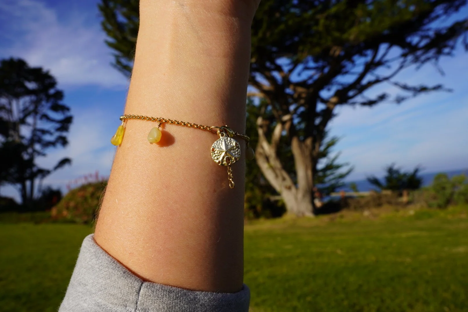 DSC00219.jpeg (Copy)