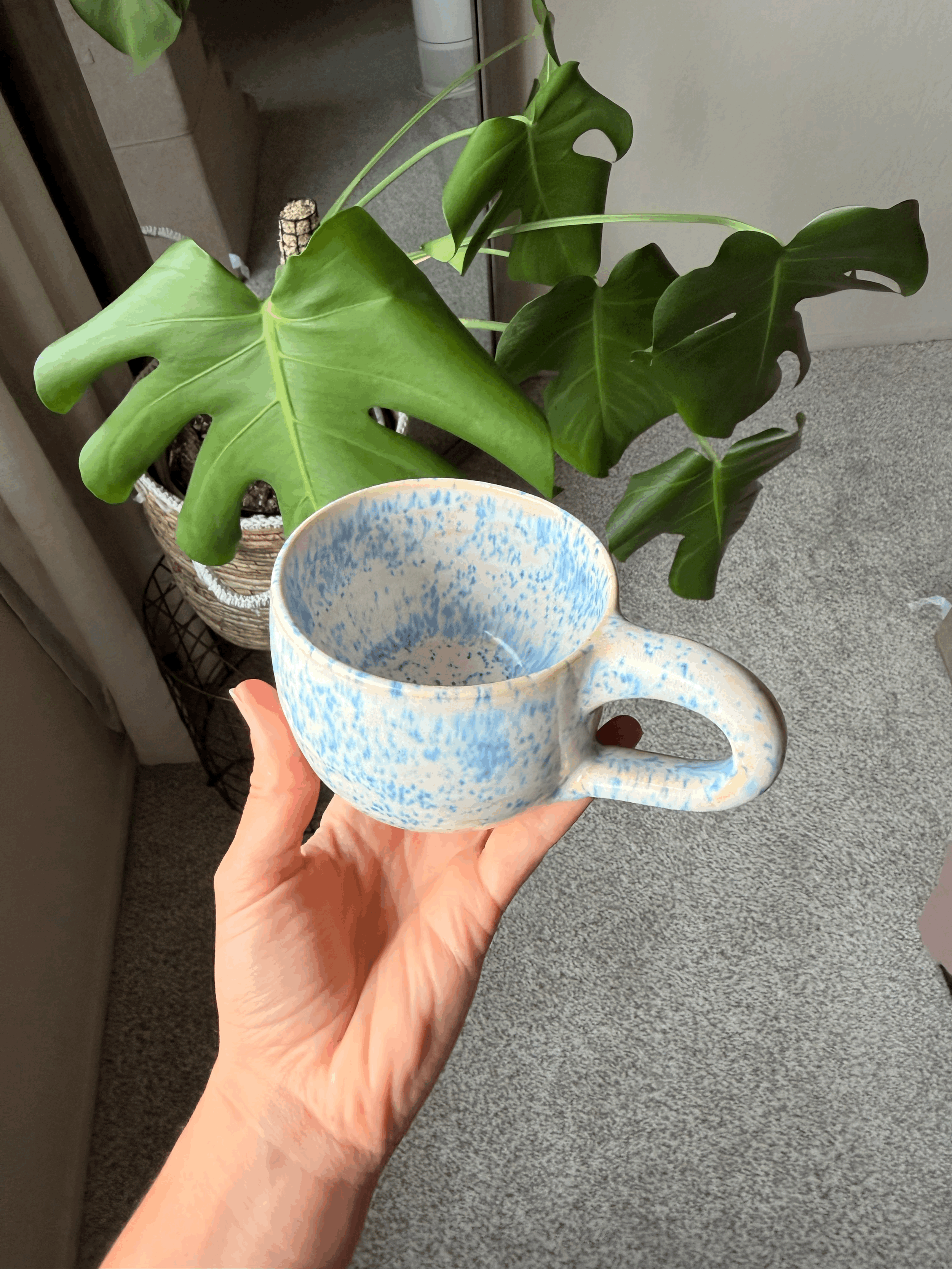 IMG_4319MQdzVw.gif