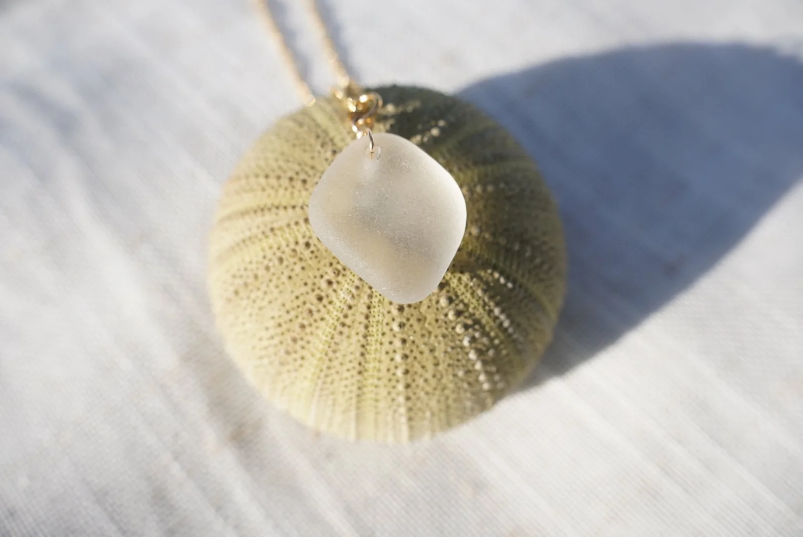 DSC00190.jpeg (Copy)