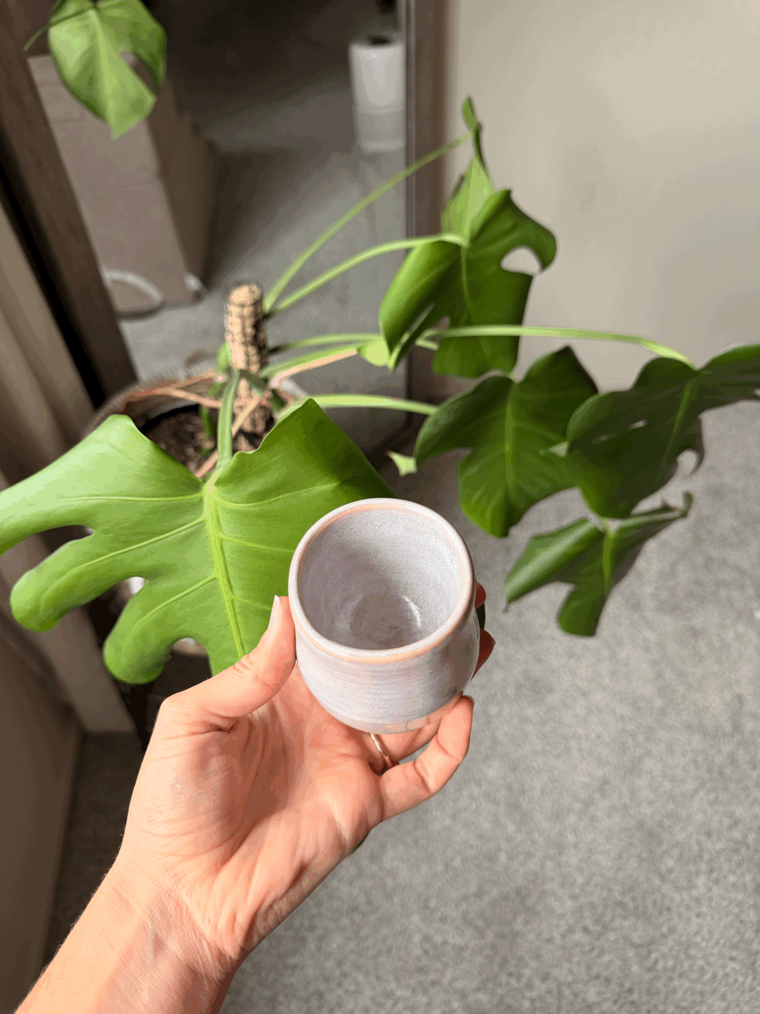 IMG_4322oovcfe.gif