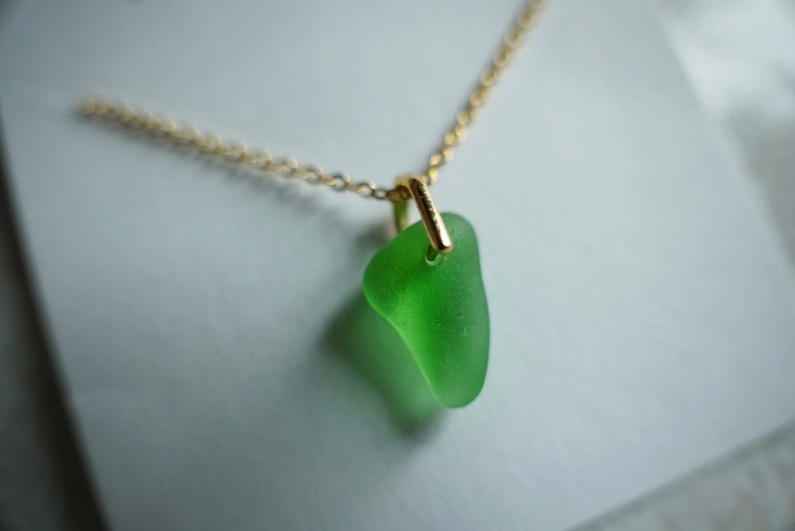 DSC02401.jpeg