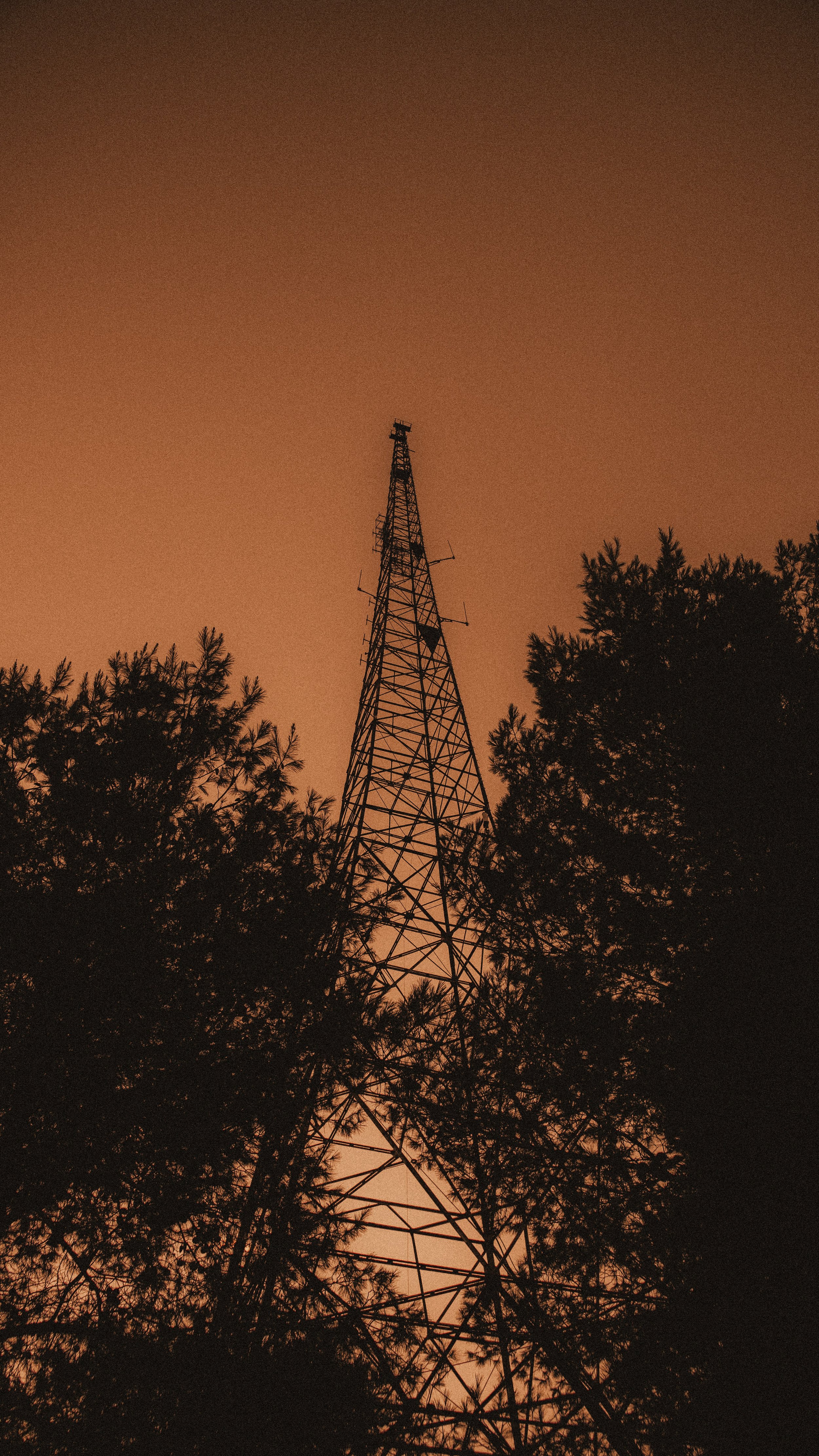Silhouette of a communication tower with trees in the foreground against an orange sky at dusk.