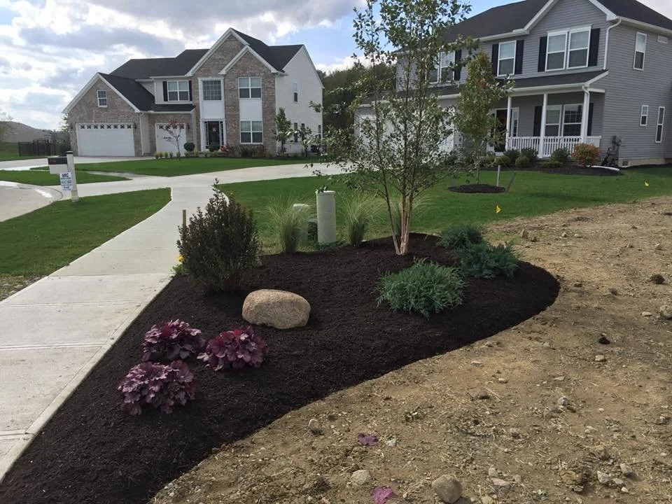 Newly landscaped front yard with small trees, shrubs, and flowers in mulch, alongside a sidewalk and suburban houses in the background.