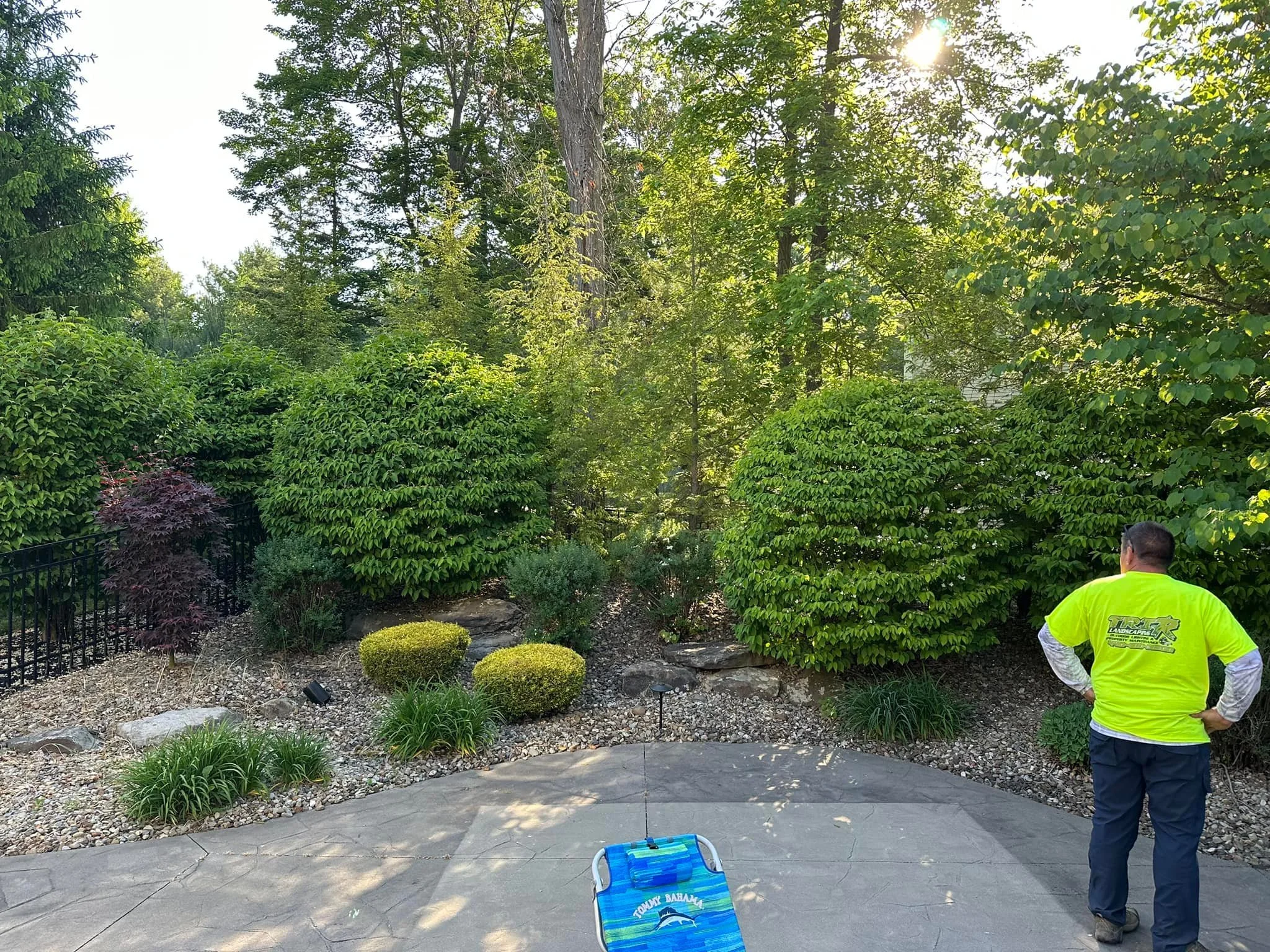 A man wearing a bright yellow safety shirt stands on a stone patio, with lush green bushes and trees in the background under a sunny sky.