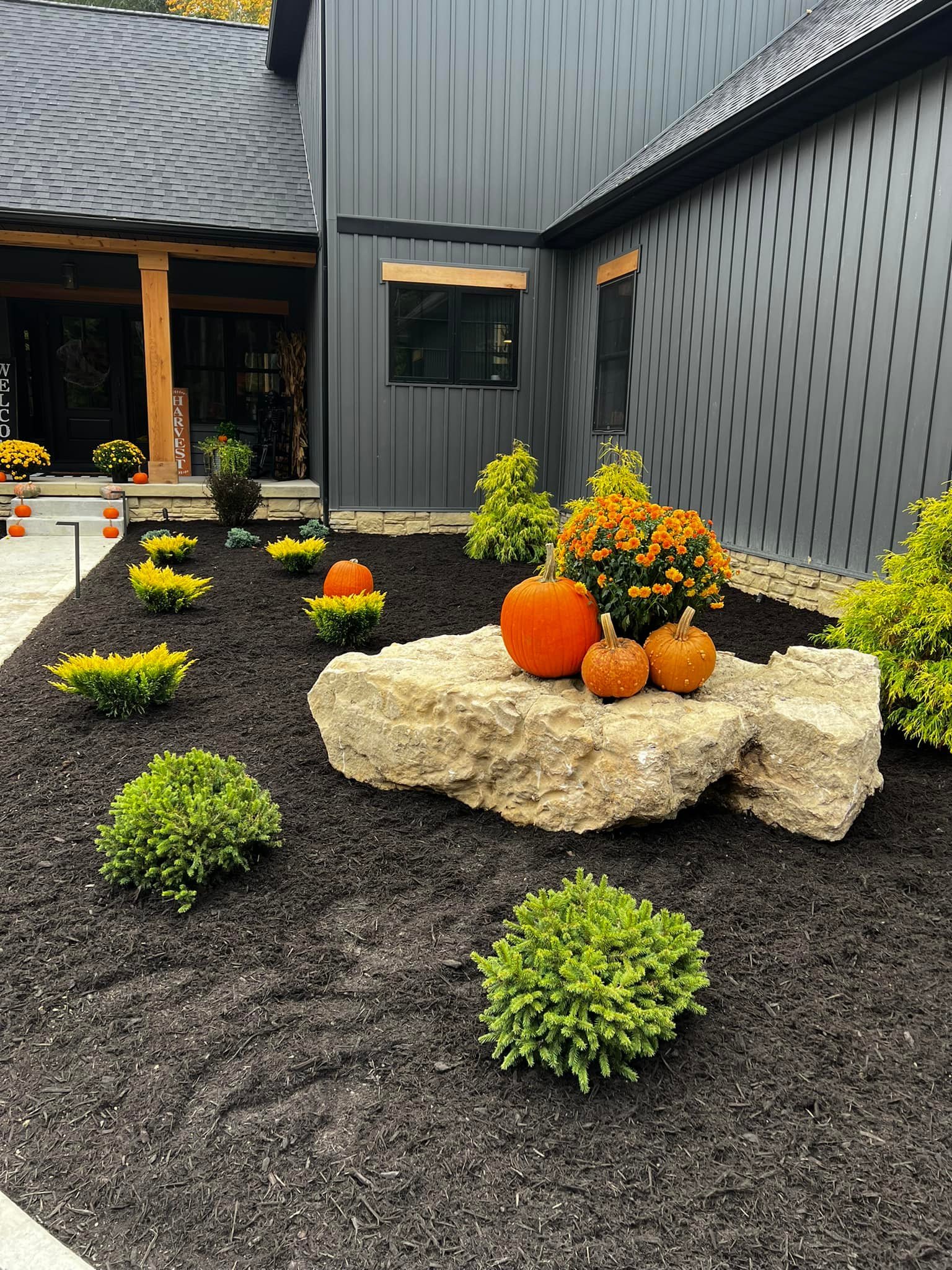 Front yard with a large rock decorated with pumpkins and orange flowers, surrounded by small green bushes, in front of a gray house with dark siding.