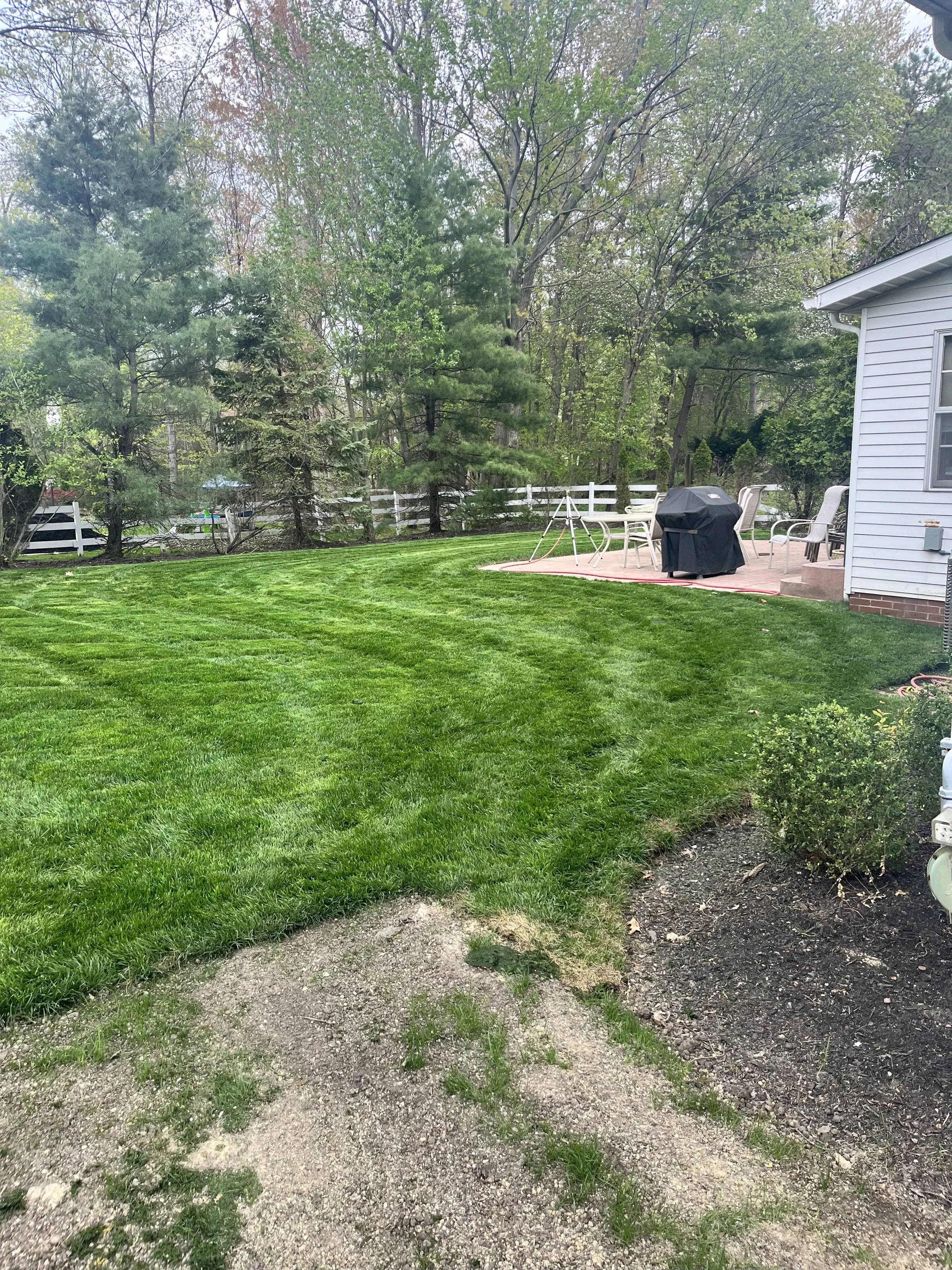 Backyard with well-maintained green lawn, patio area with furniture and a grill, surrounded by trees and a white fence.