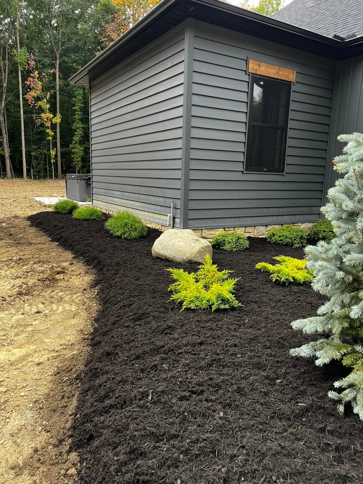 A side yard of a house with freshly planted bushes and mulch around the plants, with a large rock among the bushes.