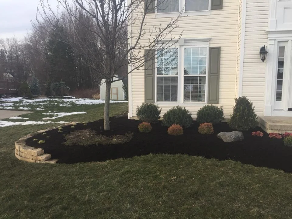 Yard with a small tree, shrubs, and a flower bed with mulch in front of a house with white siding and green shutters, some snow on the ground.