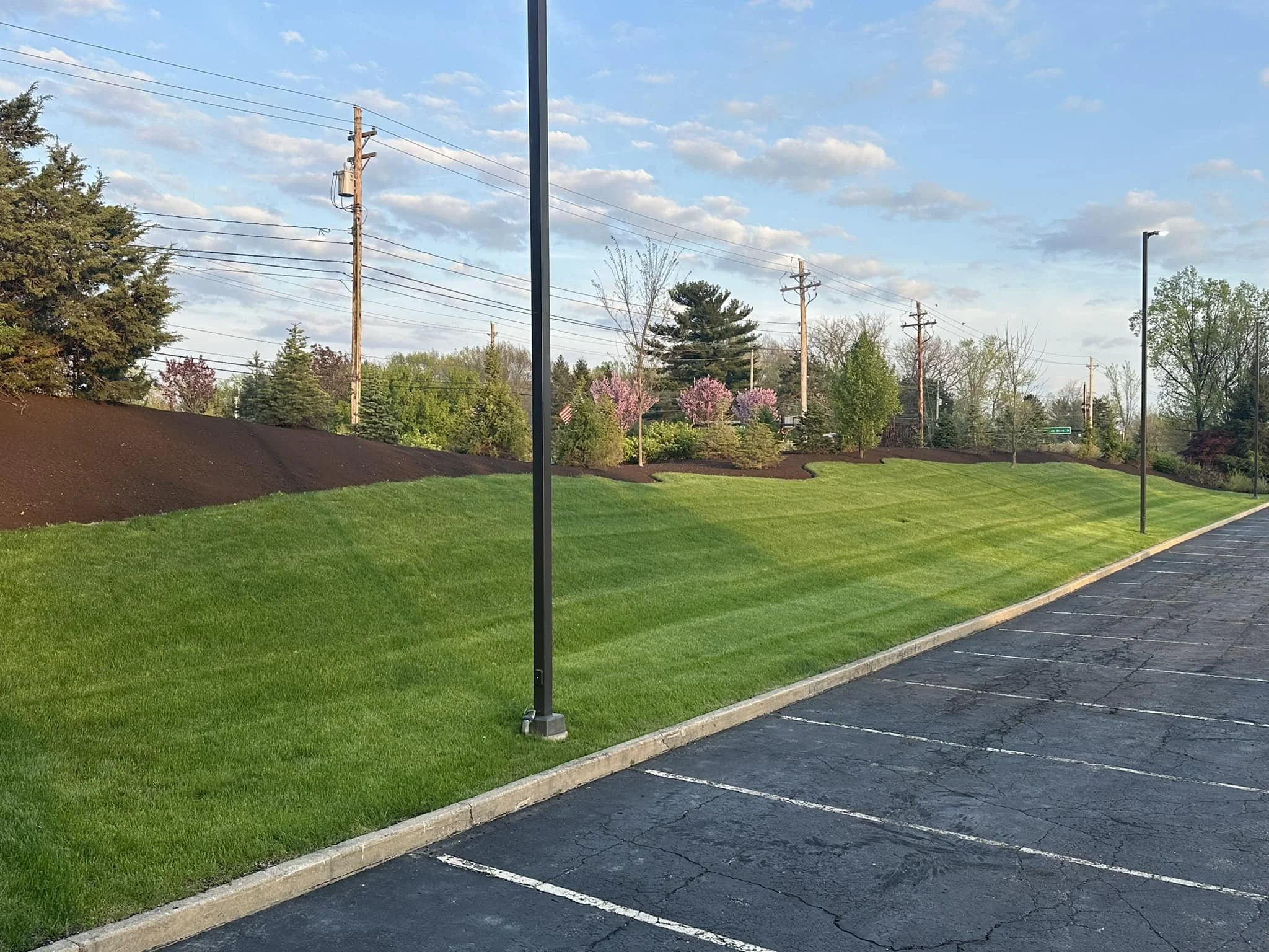 Empty parking lot with a grassy area and landscaped trees with pink blossoms in the background, under a partly cloudy sky.