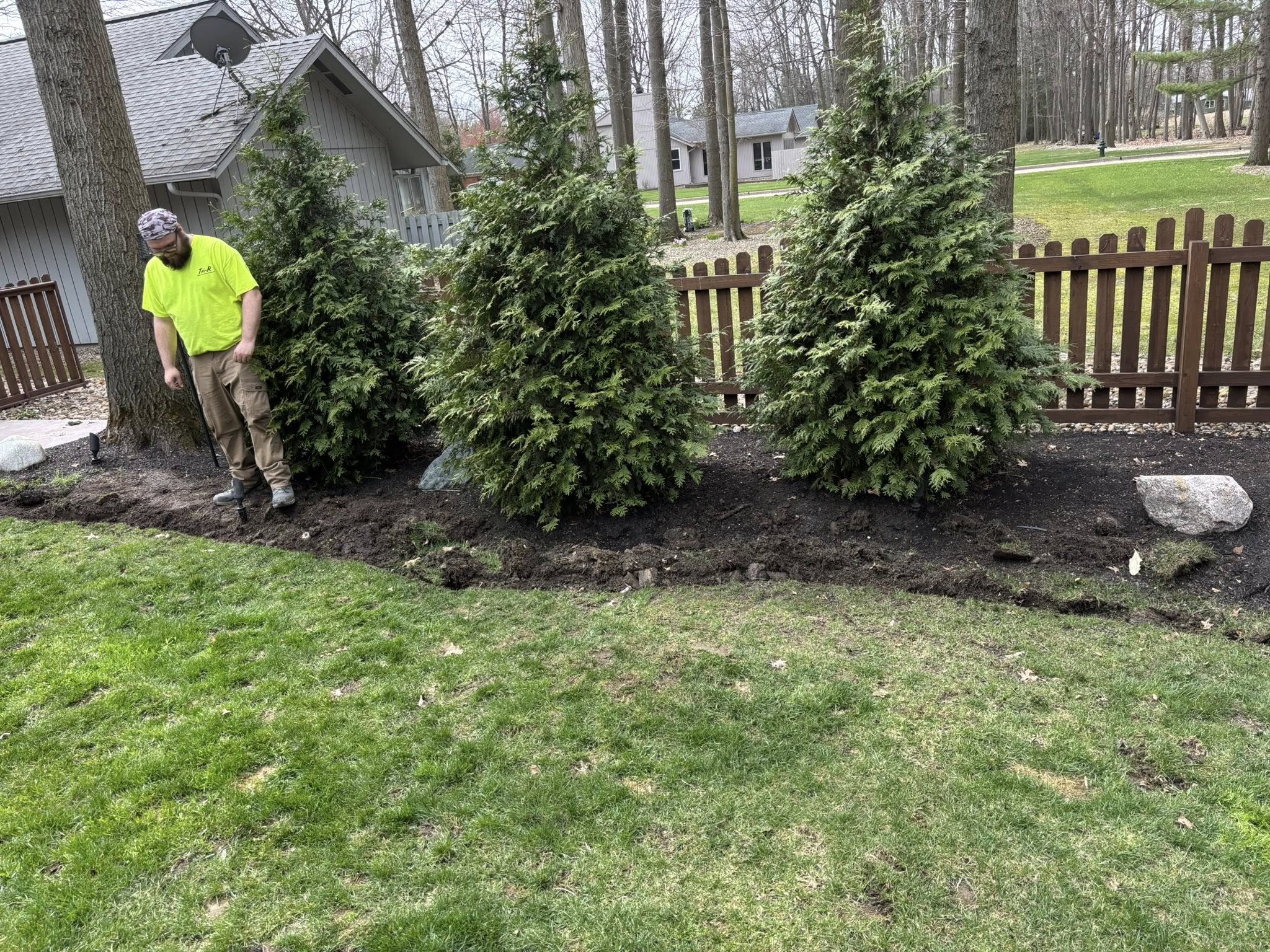 A man in a bright yellow shirt and khaki pants standing in a garden bed, planting or inspecting the soil surrounded by three evergreen trees, with a wooden fence, a house, and a lawn in the background.