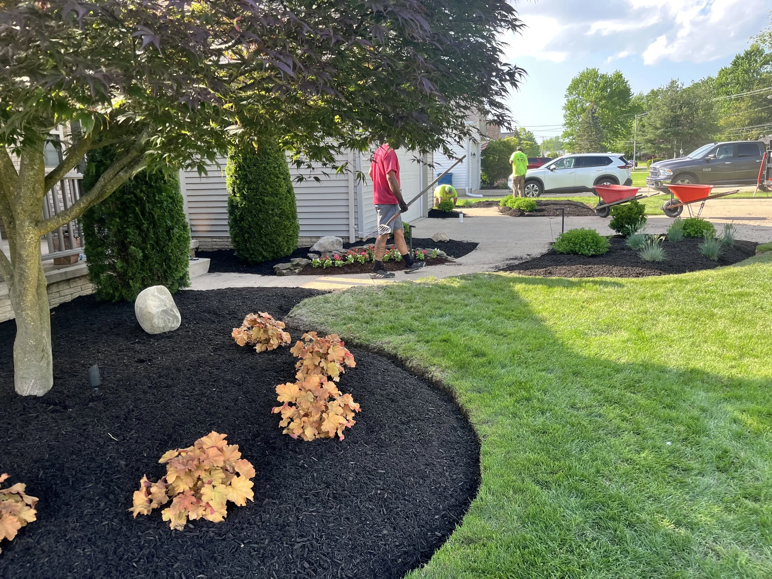 People working on landscaping and gardening in a backyard with newly laid black mulch and plants, with wheelbarrows and cars in the background.