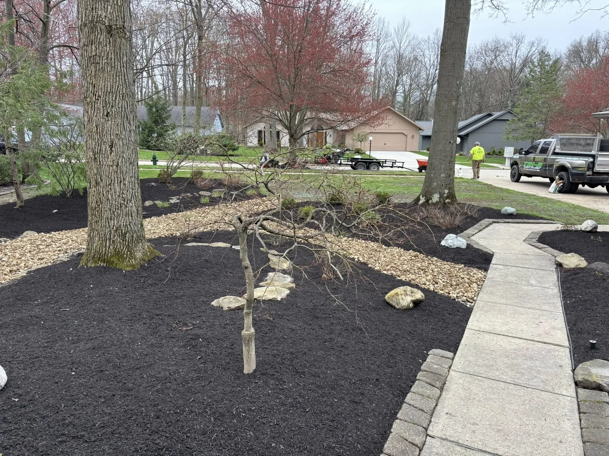 A newly landscaped front yard with a paved walkway, mulch, rocks, trees, and freshly planted shrubs in a suburban neighborhood.