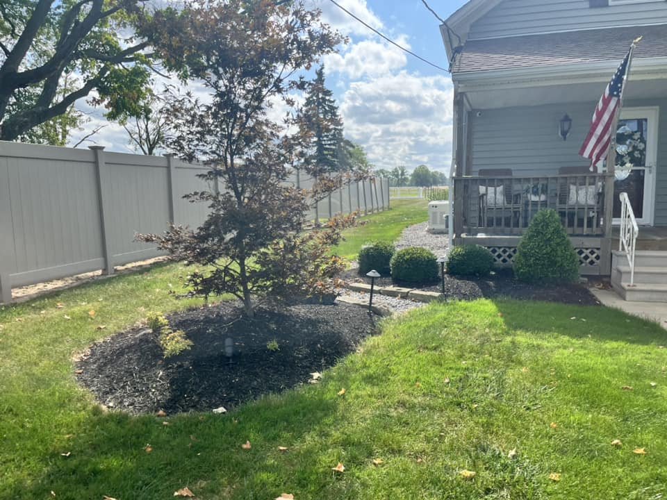 A backyard with a small tree with dark red leaves surrounded by mulch, green grass, a gray fence, and a house with a porch and American flag.