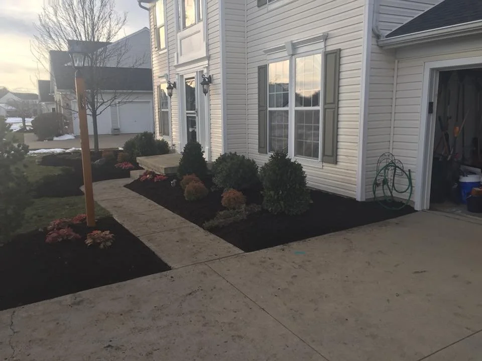 Front yard landscaping with a concrete walkway, small bushes, mulch, an outdoor lamp post, and a house with vinyl siding and closed shutters.