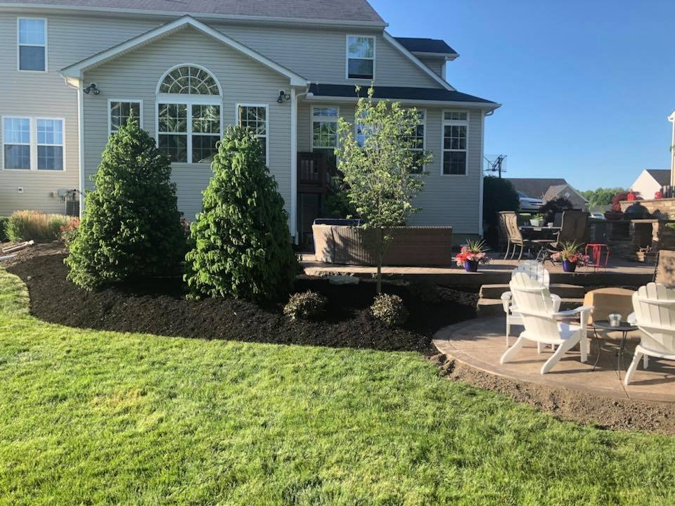 Backyard with a well-maintained lawn, three evergreen trees, a small deciduous tree, a wooden deck with outdoor furniture, potted plants, and a stone patio with white Adirondack chairs.