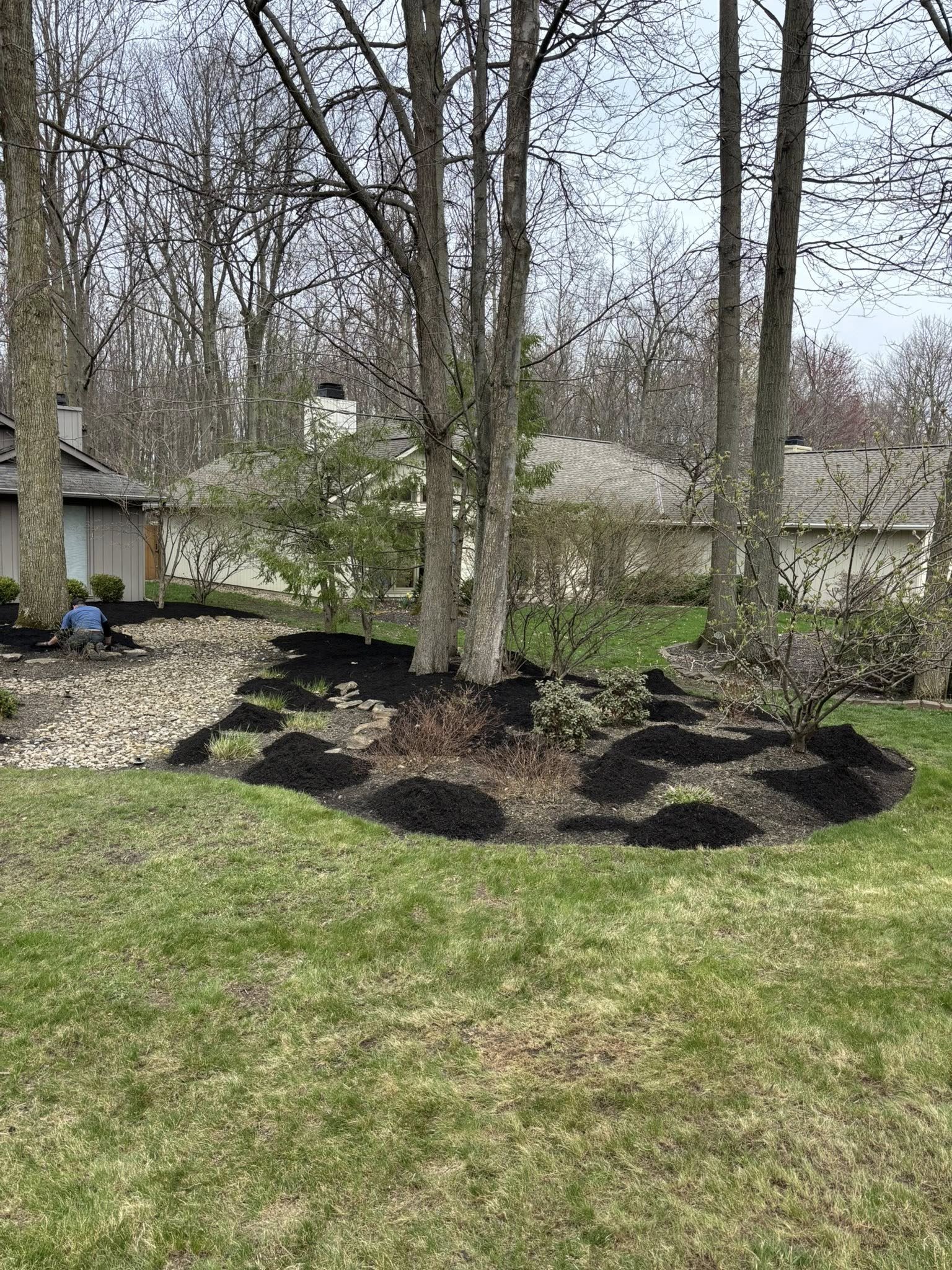 A backyard garden with newly planted trees and shrubs, mulch mounds, and a person tending to the soil, with houses and leafless trees in the background.