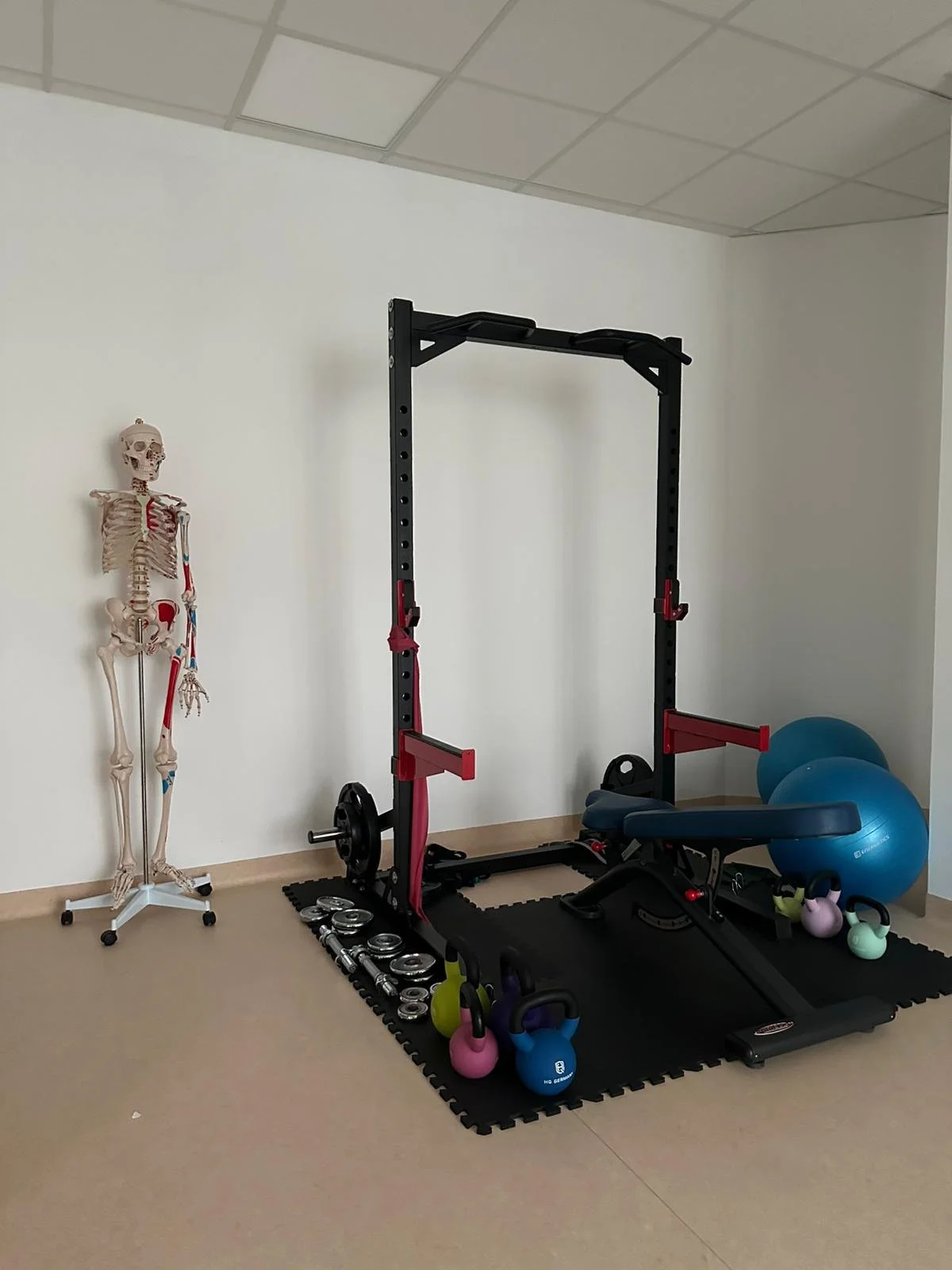 Ein Trainingsraum mit einer schwarzen Tragestange, einem Anatomie-Schädelmodell, Hanteln, Kettlebells, Gymnastikballen, Kletterseilen und einer Einstiegsliege.