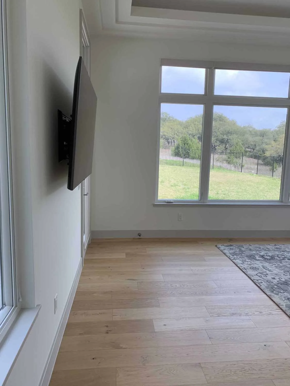 Empty room with wood flooring, large window with a view of green trees and sky, wall-mounted TV, and a patterned rug partially visible.