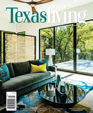  Seguin Creekside Modern Cover & Feature  March 2020