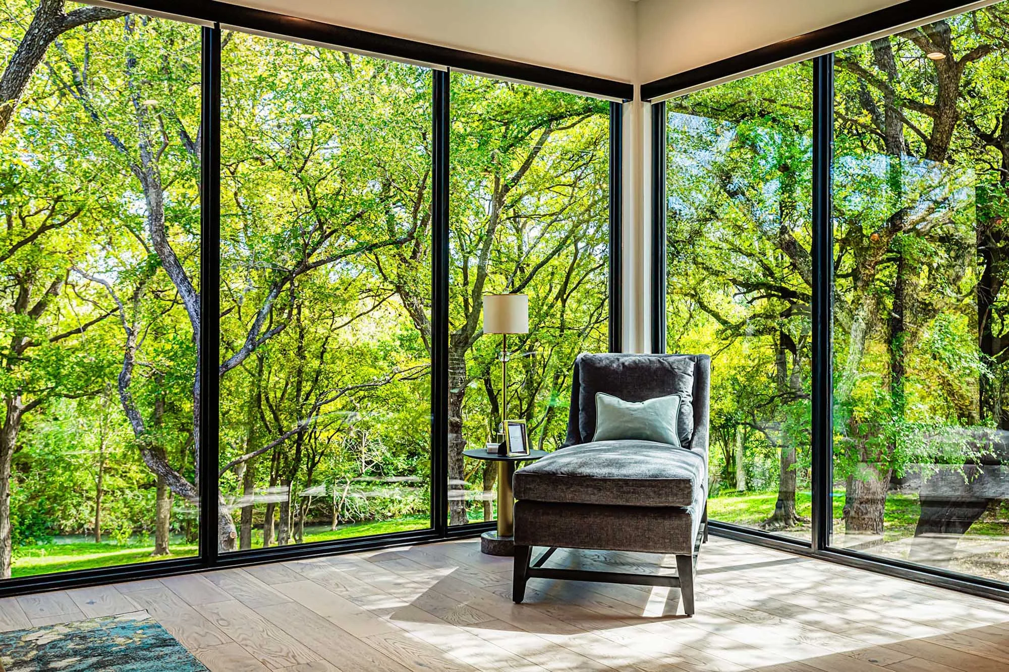 Interior Designer Austin Texas Seguin Creekside Modern.23.jpg