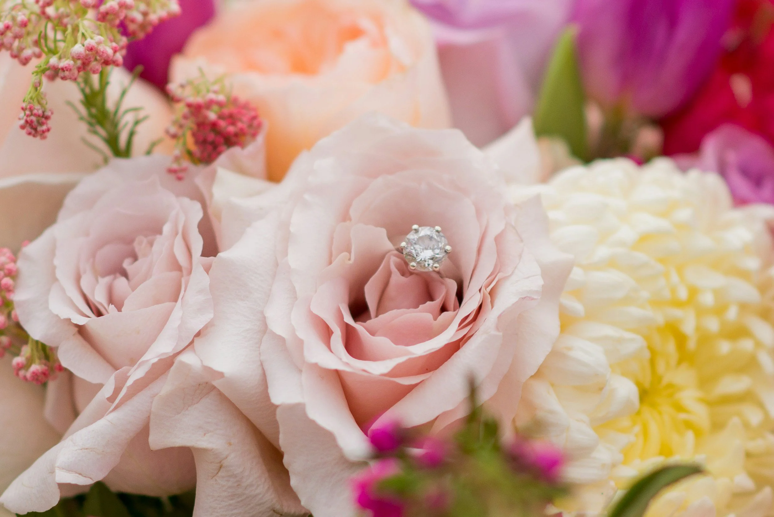 Diamond Ring displayed in rose