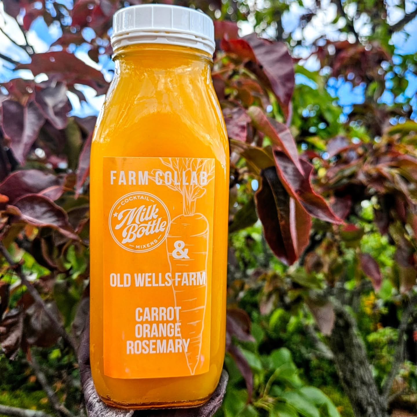 🥕🍊🌿THIS WEEK🌿🍊🥕
CARROT ORANGE ROSEMARY
We roasted @oldwellsfarm organic carrots with their incredible organic rosemary &amp; some tart oranges to make this gorgeous mixer!
It pairs well with bubbles of any sort, gin, tequila, whiskey or really 