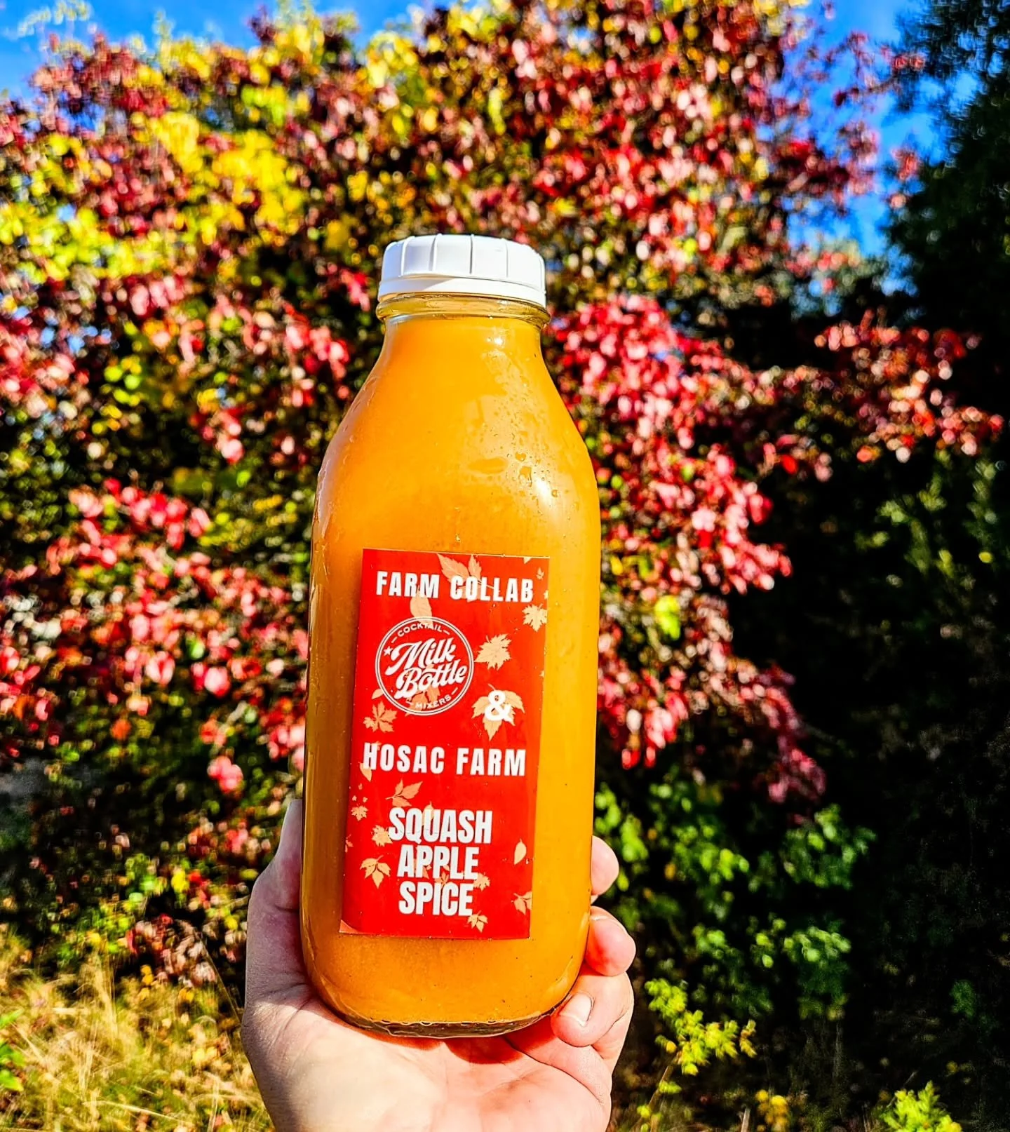 🍂 FIRST FALL FARM COLLAB🍂
SQUASH APPLE SPICE
For all the pumpkin spice babes this gorgeous autumnal bevy is packed with Cider Roasted @hosacfarm Honeynut squash &amp; delicious fall spices!
Find @hosacfarm this weekend @kennebunkfarmersmarket &amp;