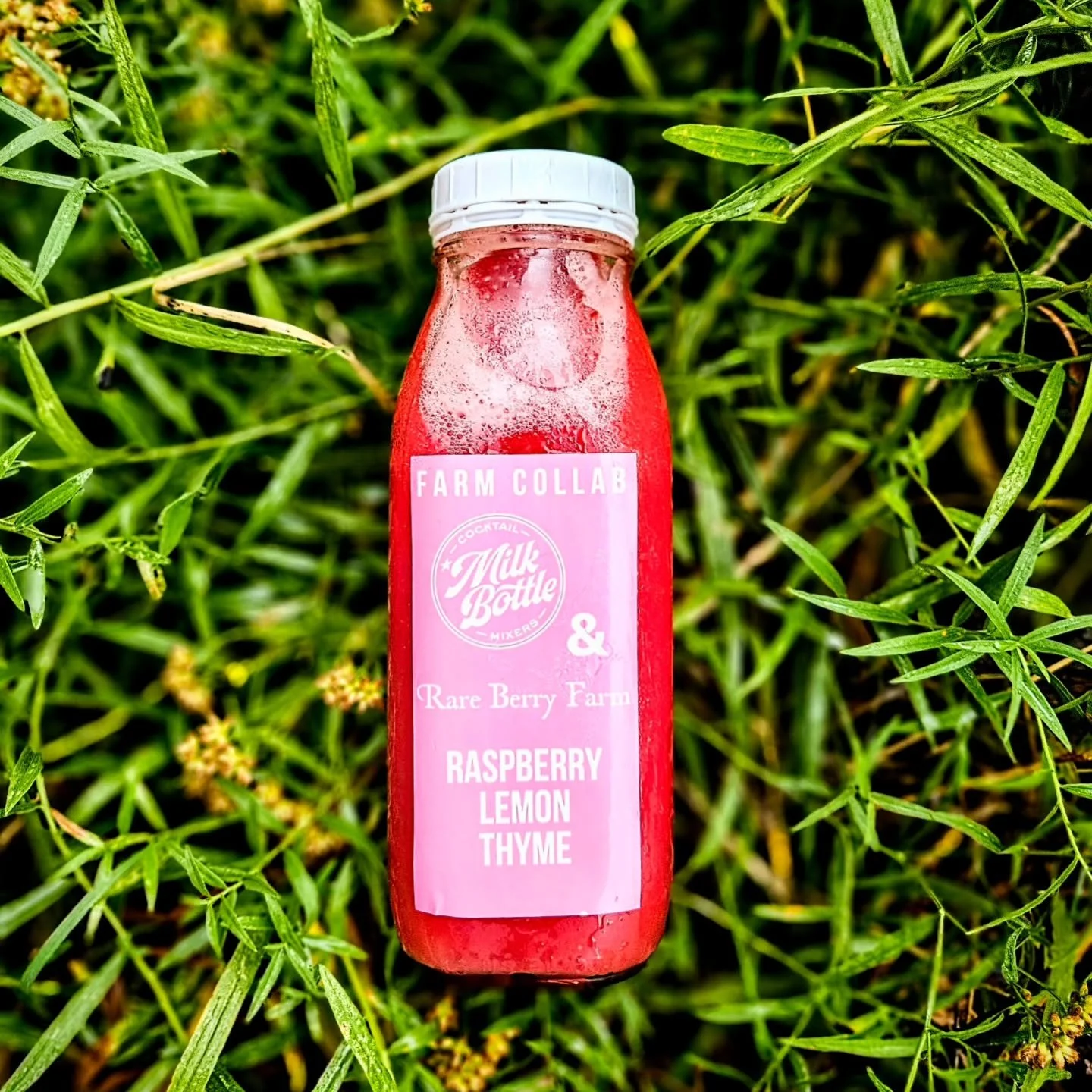 🚨FARM COLLAB🚨
RASPBERRY LEMON THYME
We roasted some gorgeous raspberries from our friends Mary &amp; Dave at Rare Berry Farm in Limington. They grow  amazing fruits &amp; berries and turn them into small batch magical sweet and savory jams. They us