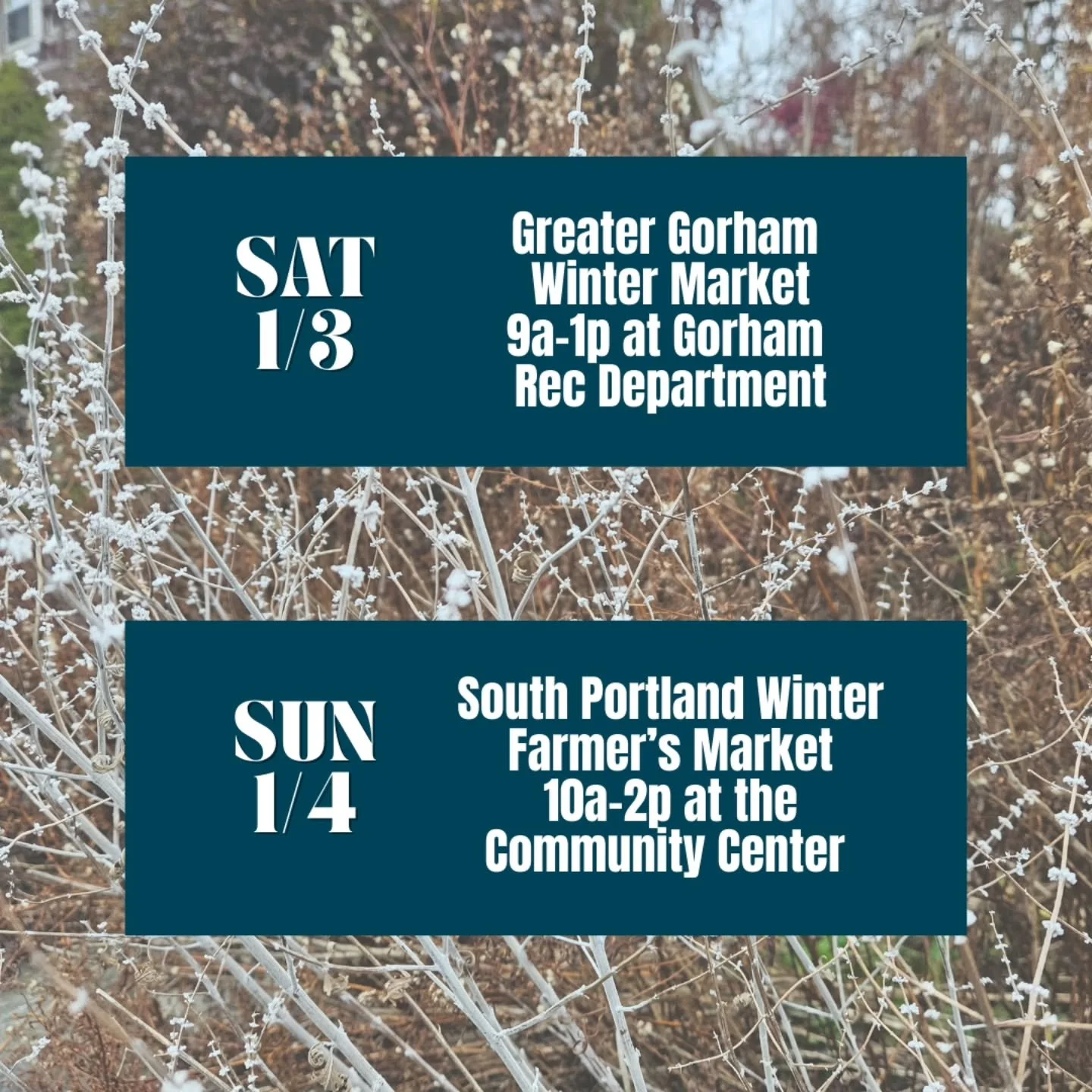 We are shaking off 2025 and we'll be back for you this weekend!
First up find us SATURDAY  @gorhamfarmersmkt alongside tons of other amazing vendors! 
Then we return to @sopofarmersmarket on SUNDAY!
Excited to get back out there and until then HAPPY 