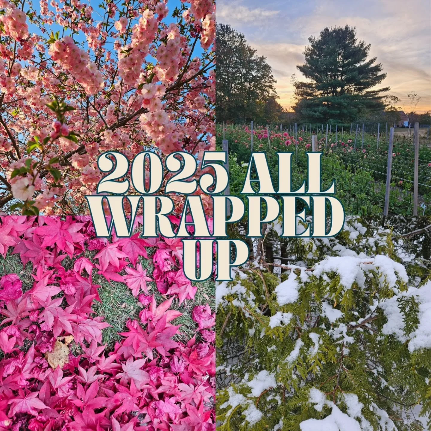 WHAT A YEAR!

This year has had a TON of highs and a couple lows too but thats how it always shakes out, and honestly wouldn't have any other way. 
With the highs we celebrate and with the lows we learn and adjust and build back up. 
There is definit