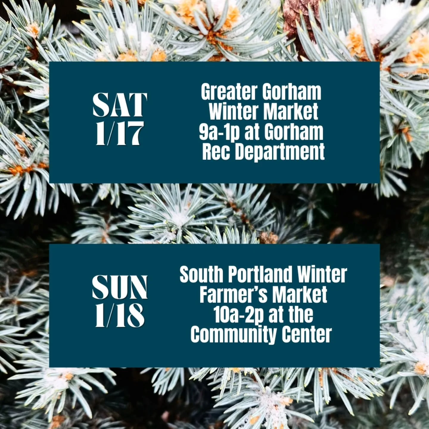 💥THIS WEEKEND💥
Last chance to find us this month so come on down and stock up!
Hot drink kits!
Warm beanies!
Mocktails!
Cranberry Jam! LAST RUN OF THE SEASON!

Saturday @gorhamfarmersmkt &amp;
Sunday @sopofarmersmarket 

See you out there loves!