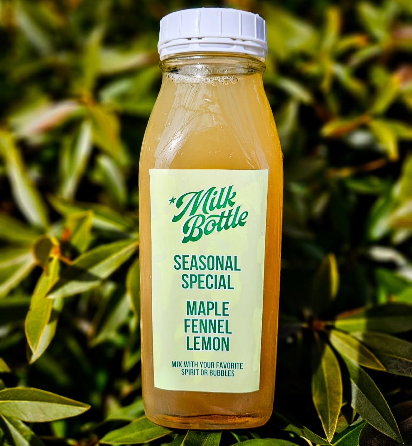 MAPLE FENNEL LEMON 
A little springy special for this weekend's market!
FIND US SATURDAY 9-12:30
@brunswickwintermarket 
We'll have this beaut and all our classics. 
ALSO ALL HOT DRINK KITS &amp; COCOA WILL BE 20% OFF!
So come on through and stock up