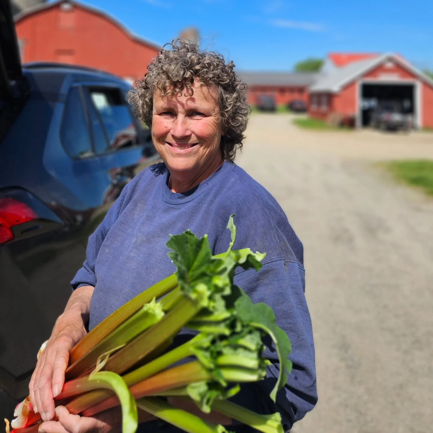 💥FARM COLLAB💥 RHUBARB SNAP PUNCH 💥Gorgeous Roasted Rhubarb from our friend Jenn @findview_farm with Ginger &amp; Lemon this one is sure to be bright, tart &amp; oh so juicy!

It has become a bit of a tradition to head up to Jenn's farm and pull so