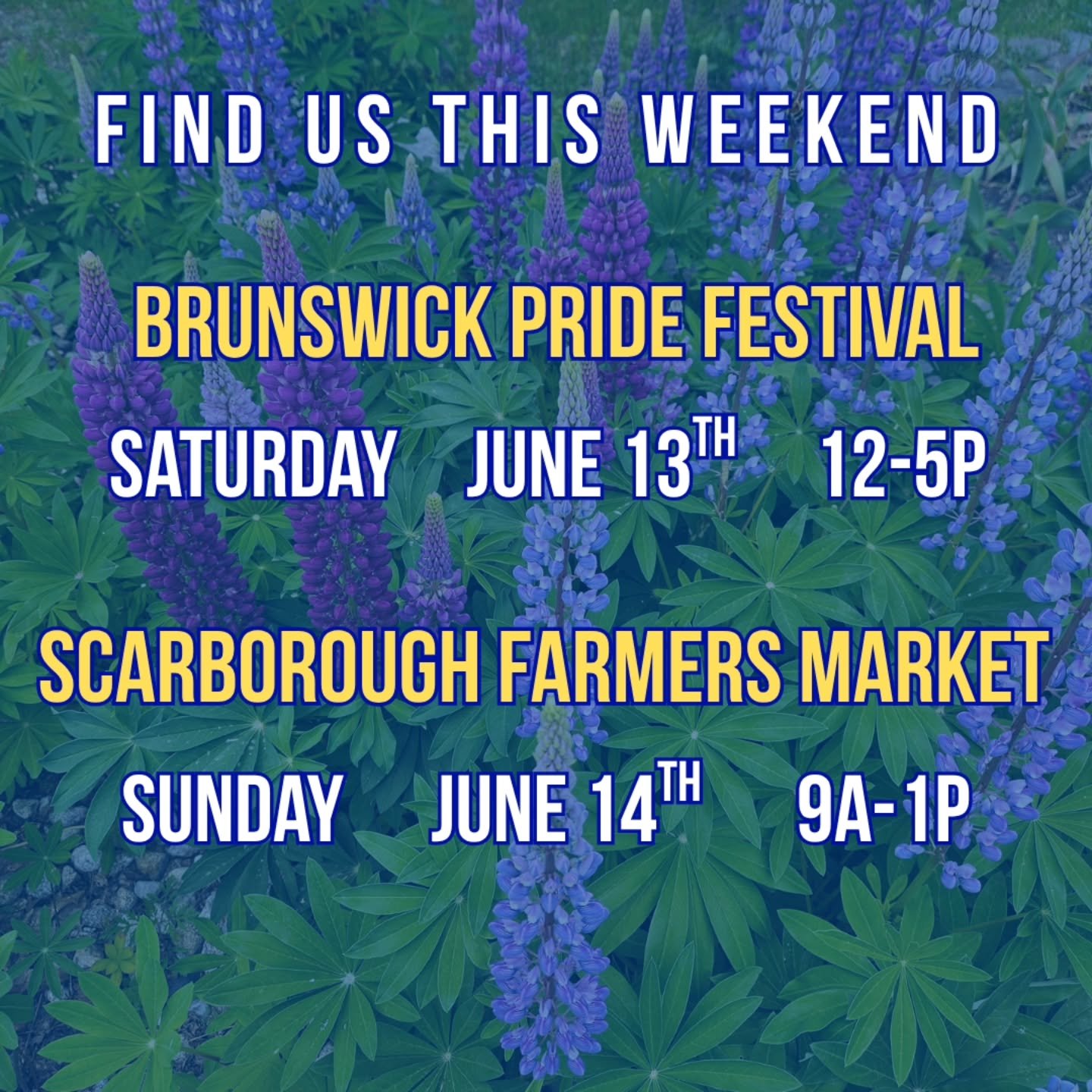 🌈❤️🎉🌈❤️🎉🌈❤️🎉🌈❤️🎉🌈
SATURDAY - Find us slingin mocktails &amp; all our classics @brunswickme_pride right in the heart of town! A portion of our proceeds will be going directly to @_queerlyme 
We love this event so much &amp; can't wait to cele