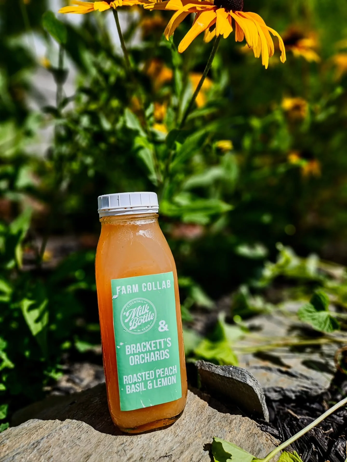 💥💥ROASTED PEACH BASIL &amp; LEMON💥💥

THIS WEEKEND ONLY!!

FIRST UP
FRIDAY / TODAY @biddefordpublicmarket 5-8p at 208 Main St Biddeford

SATURDAY @livefreelymarket LIVE FREELY FEST
@applecrestfarm 10a-5p

SUNDAY @scarboroughfarmersmarket 9a-1p
Rig