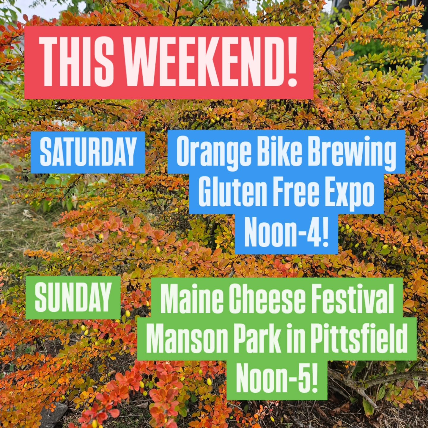 This Weekend find us in some new places!
First up Saturday September 12th @orangebikebrewing for their incredibly GLUTEN FREE EXPO! This one is going to be a blast!

Sunday the 13th 🧀 Come celebrate Maine cheese with us! 🧀 We&rsquo;ll be at the 10t
